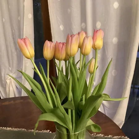 Bed & Breakfast Residenza Borgo San Rocco SantʼAmbrogio di Valpolicella